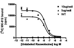 ChemiSCREEN Human α2A Adrenergic Receptor Membrane Preparation Human alpha2A GPCR membrane preparation for Radioligand binding Assays &amp; GTPγS binding.