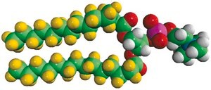 14:0 PC-d54 1,2-dimyristoyl-d54-sn-glycero-3-phosphocholine, powder