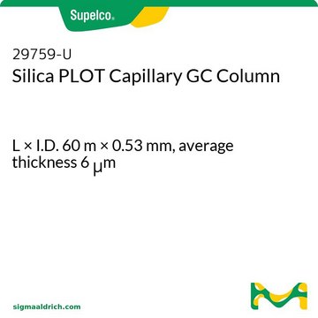 Silica PLOT Capillary GC Column L × I.D. 60 m × 0.53 mm, average thickness 6 μm