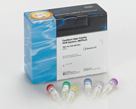 FastStart &#8482; 高保真 PCR 系统，dNTPack