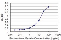 Monoclonal Anti-ATF4 antibody produced in mouse clone 2E3, purified immunoglobulin, buffered aqueous solution