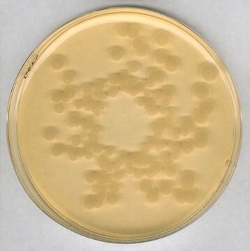 Tryptic Soy Agar NutriSelect&#174; Plus, suitable for microbiology
