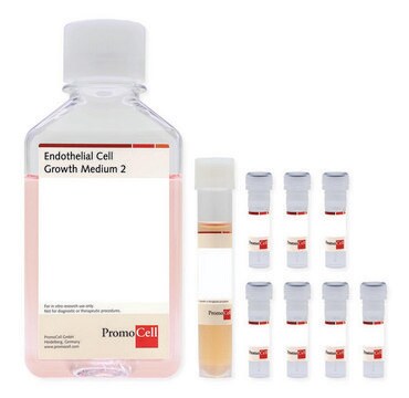 Endothelial Cell Growth Medium 2 Kit including Basal Medium and SupplementPack, 500 ml