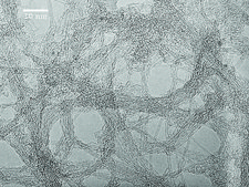 Carbon nanotube, single-walled (6,5) chirality, ≥90% carbon basis (≥99% as carbon nanotubes), 0.78 nm average diameter, avg. no. of layers, 1