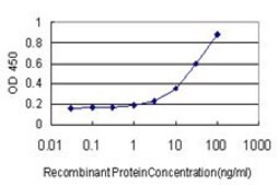 Monoclonal Anti-MEF2A antibody produced in mouse clone 3F6, purified immunoglobulin, buffered aqueous solution