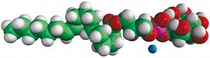 17:1 Lyso PI 1-(10Z-heptadecenoyl)-2-hydroxy-sn-glycero-3-phospho-(1′-myo-inositol) (ammonium salt), powder