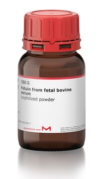 Fetuin from fetal bovine serum lyophilized powder