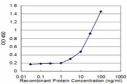 Monoclonal Anti-CD8A antibody produced in mouse clone 4B9, purified immunoglobulin, buffered aqueous solution