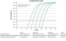 KAPA SYBR® FAST suitable for qPCR, 2 ×, ABI PRISM®