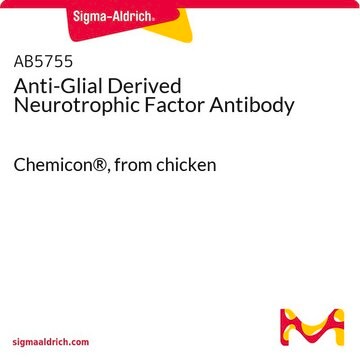 Anti-Glial Derived Neurotrophic Factor Antibody Chemicon®, from chicken
