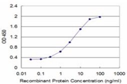 Monoclonal Anti-CBS, (N-terminal) antibody produced in mouse clone 6B8, purified immunoglobulin, buffered aqueous solution