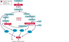 ProClin™ 200 ProClin™ preservative for use in IVD manufacturing, CMIT/MIT 1.5%, pkg of 50 mL