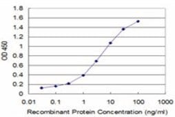Monoclonal Anti-PLP1 antibody produced in mouse clone 2D7, purified immunoglobulin, buffered aqueous solution