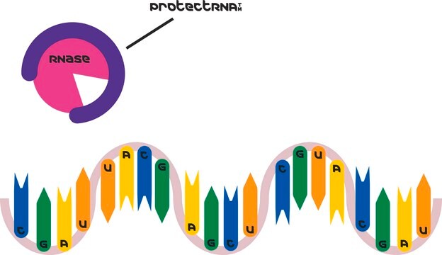 ProtectRNA &#8482; RNase 抑制剂 500× 浓缩液 RNase inhibitor for in situ hybridization assays