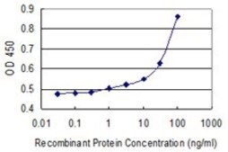 Monoclonal Anti-A2M antibody produced in mouse clone 2B5, purified immunoglobulin, buffered aqueous solution