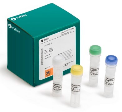 Genomiphi&#8482; V2 DNA Amplification Kit Cytiva 25-6600-32, sufficient for 500&#160;reactions