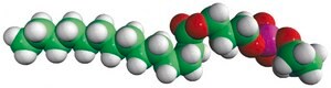 14:0 Lyso PE 1-myristoyl-2-hydroxy-sn-glycero-3-phosphoethanolamine, powder