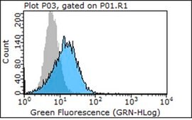 Anti-Integrin β4 Antibody, clone ASC-8 (Azide Free) clone ASC-8, Chemicon®, from mouse