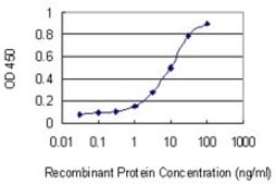Monoclonal Anti-DCBLD2 antibody produced in mouse clone 3G10, purified immunoglobulin, buffered aqueous solution