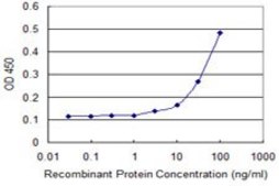 Monoclonal Anti-COL5A1 antibody produced in mouse clone 2F4, purified immunoglobulin, buffered aqueous solution