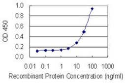 Monoclonal Anti-PLG antibody produced in mouse clone 2A10, purified immunoglobulin, buffered aqueous solution
