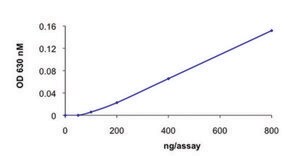 CDC25A, active, GST tagged human recombinant, expressed in baculovirus infected Sf9 cells, ≥70% (SDS-PAGE), buffered aqueous glycerol solution