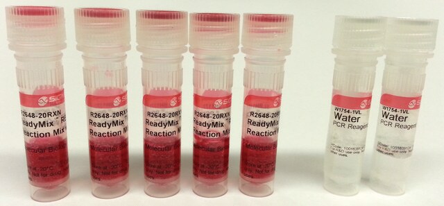 REDTaq&#174; ReadyMix&#8482; PCR反应混合物 Complete PCR reagent with standard Taq DNA Polymerase and inert dye