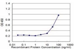 Monoclonal Anti-UBE2E3 antibody produced in mouse clone 3E9, purified immunoglobulin, buffered aqueous solution