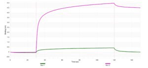 Anti-IL-12B Antibody, clone 1N3 ZooMAb® Rabbit Monoclonal recombinant, expressed in HEK 293 cells