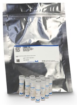 Bacillus spizizenii WDCM 00003 Vitroids™ 50,000-150,000 CFU mean value range, certified reference material, suitable for microbiology, Manufactured by: Sigma-Aldrich Production GmbH, Switzerland