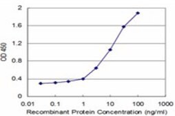 Monoclonal Anti-HAX1 antibody produced in mouse clone 1D2, purified immunoglobulin, buffered aqueous solution