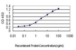 Monoclonal Anti-DCP1A antibody produced in mouse clone 3G4, purified immunoglobulin, buffered aqueous solution
