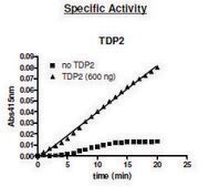 TDP2 active human recombinant, expressed in baculovirus infected Sf9 cells, ≥87% (SDS-PAGE)