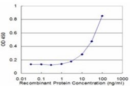 Monoclonal Anti-SERPINA3, (C-terminal) antibody produced in mouse clone 1C10, purified immunoglobulin, buffered aqueous solution