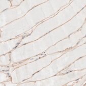 Anti-SPTB antibody produced in rabbit Ab2, Prestige Antibodies® Powered by Atlas Antibodies, affinity isolated antibody, buffered aqueous glycerol solution