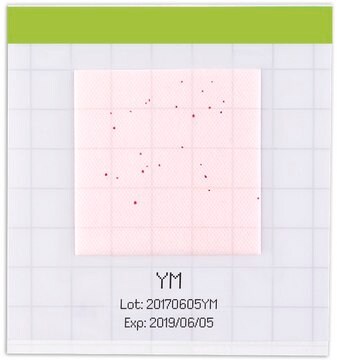 MC-Media Pad® YM for yeasts, for molds, Accredited for Food Stuff and Dried Cannabis Flower (THC>0.3%), ready-to-use, pack of 4 × 25 pieces