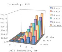Caspase 3 Assay Kit, Fluorimetric