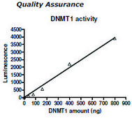 DNMT1 Active human recombinant, expressed in baculovirus infected insect cells, ≥50% (SDS-PAGE)