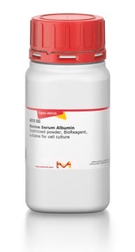 Bovine Serum Albumin lyophilized powder, BioReagent, suitable for cell culture