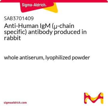 Anti-Human IgM (μ-chain specific) antibody produced in rabbit whole antiserum, lyophilized powder