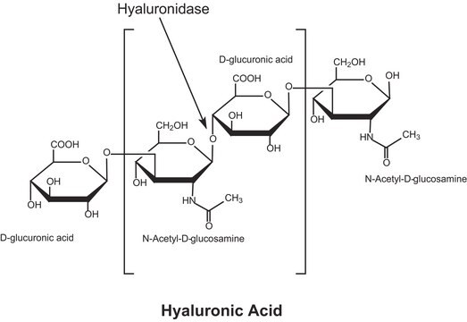 透明质酸酶 来源于牛睾丸 Type I-S, lyophilized powder, 400-1000&#160;units/mg solid