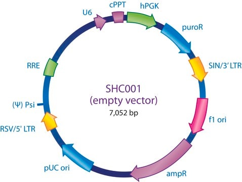 MISSION&#174;pLKO.1-puro空载体对照质粒 DNA Contains no shRNA insert