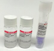 LuminoCt® qPCR ReadyMix™ For fast probe-based quantitative PCR