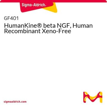 HumanKine® beta NGF, Human Recombinant Xeno-Free