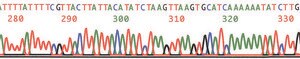 PhasePrep™ BAC DNA Kit Scalable method for isolating large-molecular weight plasmids