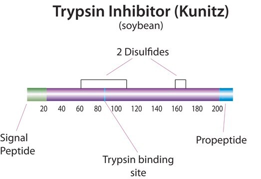 Trypsin Inhibitor from Glycine max (soybean) BioUltra, lyophilized powder, &#8805;95% (Kunitz inhibitor, SDS-PAGE)