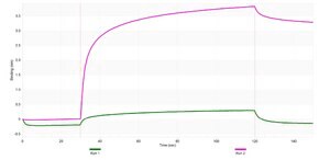 Anti-TCF7/TCF1 Antibody, clone 1H9 ZooMAb® Rabbit Monoclonal recombinant, expressed in HEK 293 cells