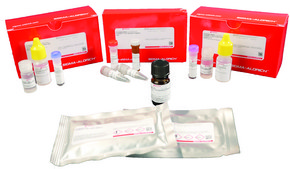 Duolink® In Situ Orange Starter Kit Mouse/Goat