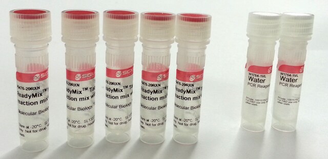 ReadyMix &#8482; Taq PCR 反应混合物 with MgCl2