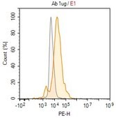 Anti-ApoE Antibody, clone 3N14 ZooMAb® Rabbit Monoclonal recombinant, expressed in HEK 293 cells